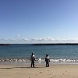 Toru