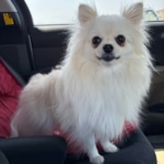 Ryoko