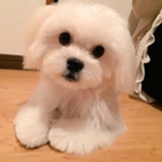myumyu0413