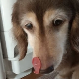 chocococoa