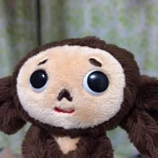 maimai