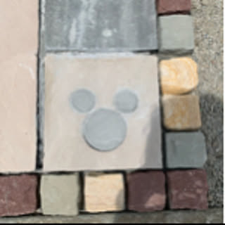 cocoa