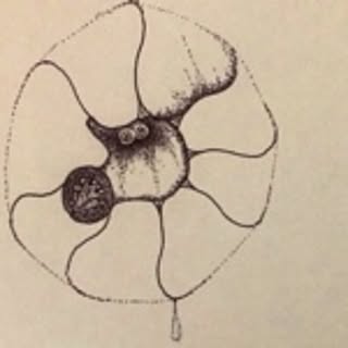 Ikumu
