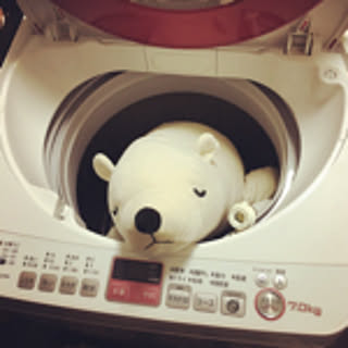 suiu