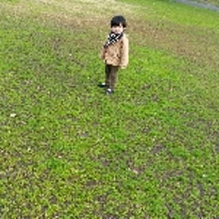 kazuo