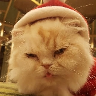 harrypon_m