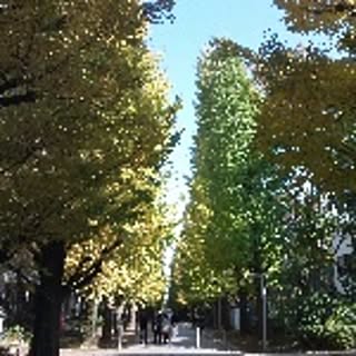 raimtomo