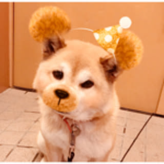 hiro.n.