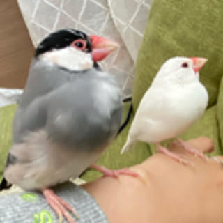Kimi_Ito1010