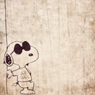 yuchi