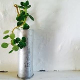 clover