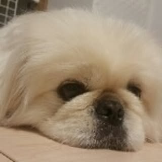 yukai