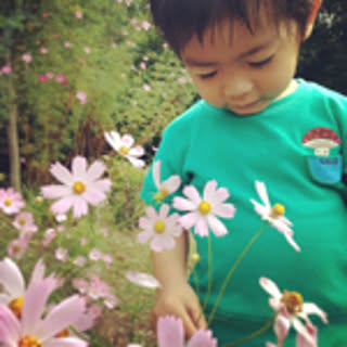 yuton