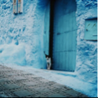 pino_3110