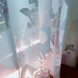ponzu008