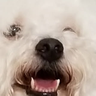 tako