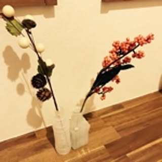 tomotomo_0