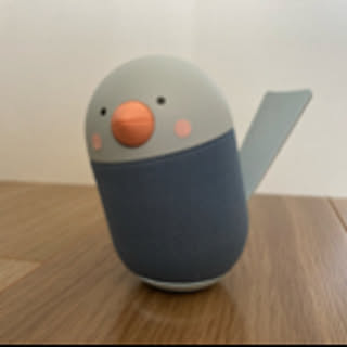 cocorita