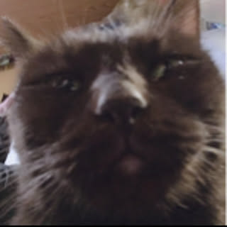 nakahiro99