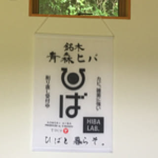 hiba_lab