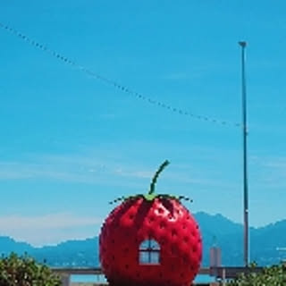 ichigo