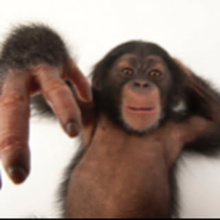 monkeyworks