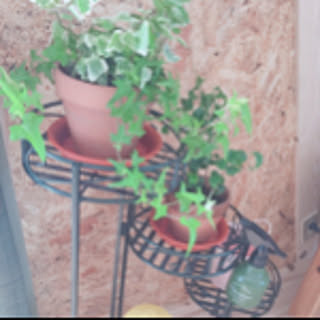 rekoo.0630