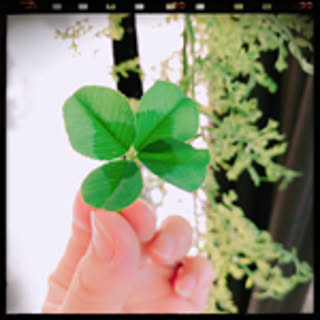 natuki