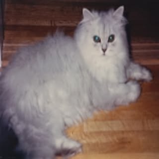 machapin1