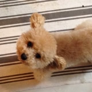 Hiro