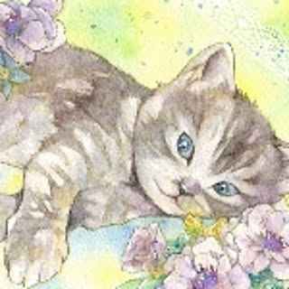 koyo_xxxx