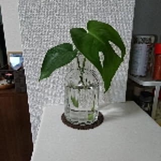 kanayatti
