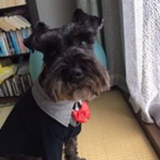 Kiyoto
