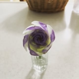 hirohia