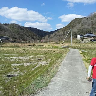 arisun