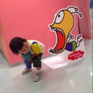 picopapi