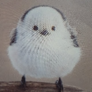 marin7