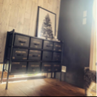 savi_de_savi