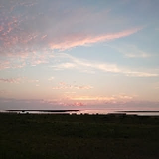 a-may.10