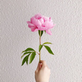tamane