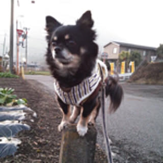 akubi28n