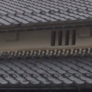 hooko