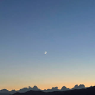 moonlight