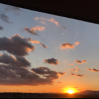 pons-house