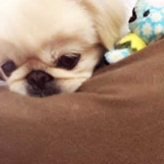 yo