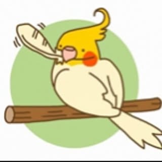 piyo2