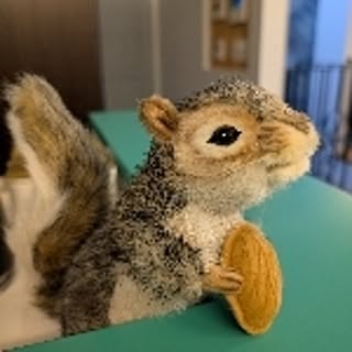 Walnut