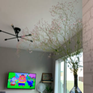 na_room