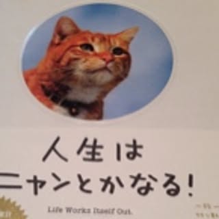 masami