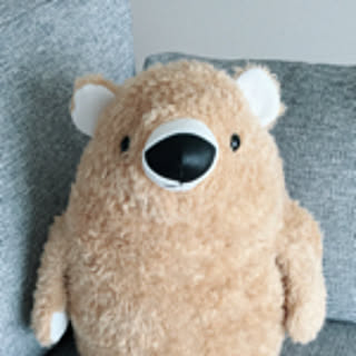 nao